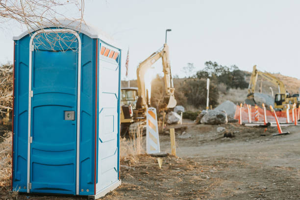 Best Affordable portable toilet rental  in Cassopolis, MI