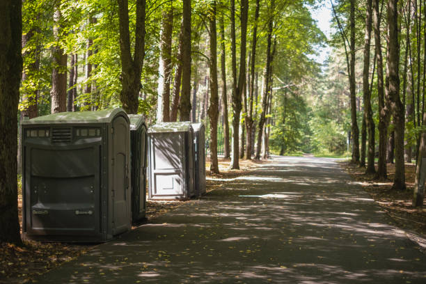 Best Luxury portable toilet rental  in Cassopolis, MI